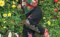 灵武九天无弹窗